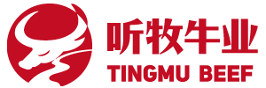 网站首页